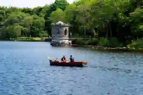 shannon-cruise-trip-boating-lough-key-forest-park-roscommon
