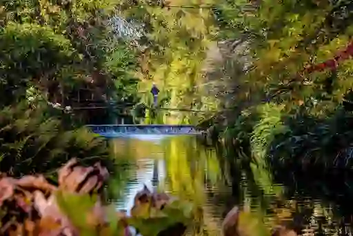 Visitor crossing footbridge over river at Mount Usher Gardens, County Wicklow, amid colourful autumn foliage.