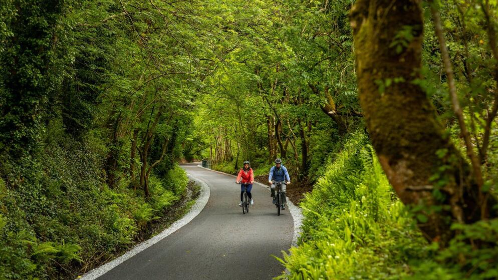 Cyclists ride through a tree-lined path on the Limerick Greenway.