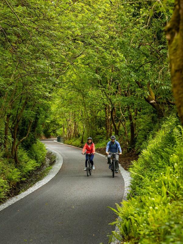 Cyclists ride through a tree-lined path on the Limerick Greenway.