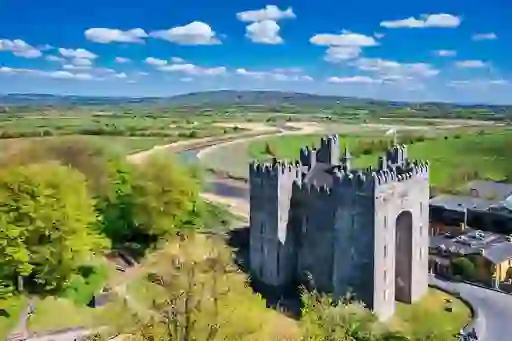 Castillo de Bunratty, situado junto al río Ratty en el condado de Clare, rodeado de un paisaje verde.