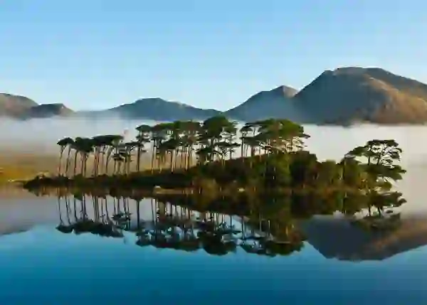 El lago Derryclare, en el que se reflejan los pinos y los Twelve Bens, en el Parque Nacional de Connemara, en el condado de Galway.
