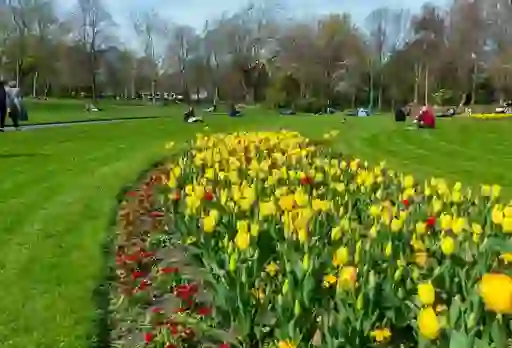 spring-images-insetcms6