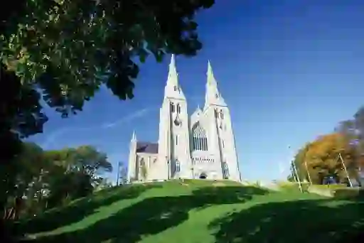 st_patricks_footsteps-inset9