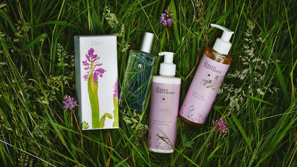 Selection of Burren Perfumery Ilaun skincare and fragrance products displayed in grass with wildflowers.