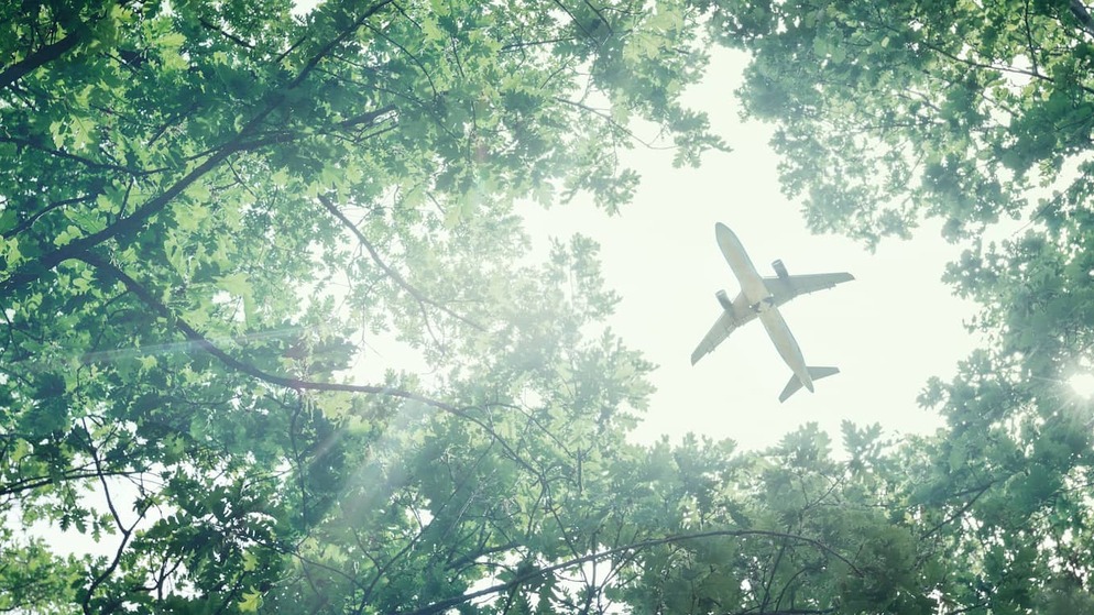 sustainable-travel-plane-trees-shutterstock