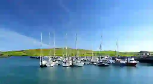 dingle-inset