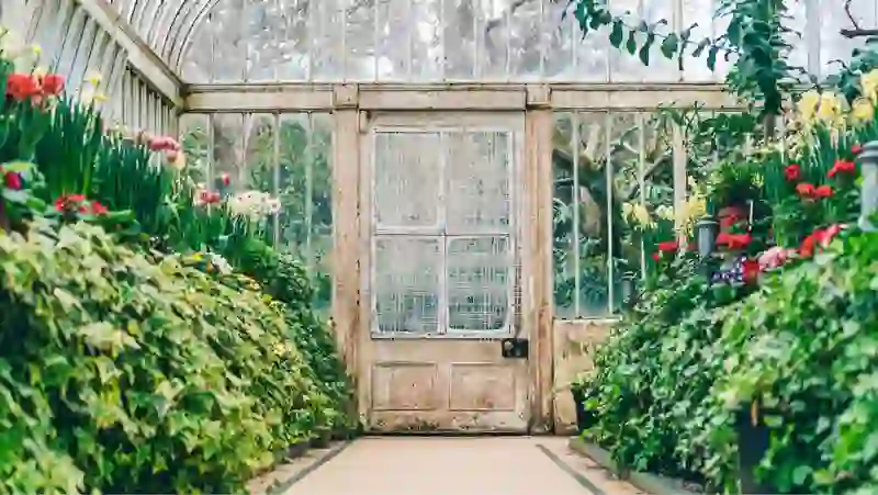 Im historischen Gewächshaus der Botanic Gardens in Belfast schlängelt sich ein eleganter Spazierweg durch farbenprächtige Frühlingsblumen und dichtes, blühendes Grün.