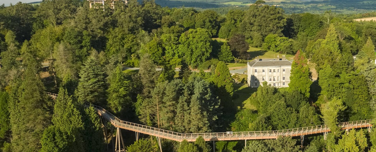 beyond-the-trees-avondale-wicklow-aerial-house-walkway-bg
