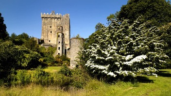 Il Blarney Castle, nella contea di Cork, accanto a un albero di biancospino in fiore in una giornata di sole.