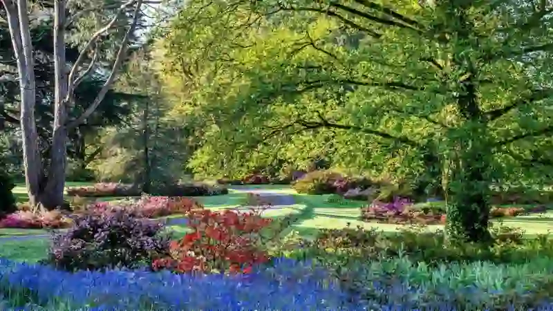 Colourful flower beds and winding paths in Blarney Gardens beneath mature trees on the Blarney Castle estate.