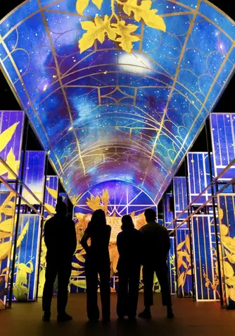 Silhouetted visitors inside the Book of Kells Experience, surrounded by colourful illuminated botanical projections.