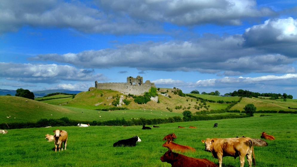Roche Castle - Header
