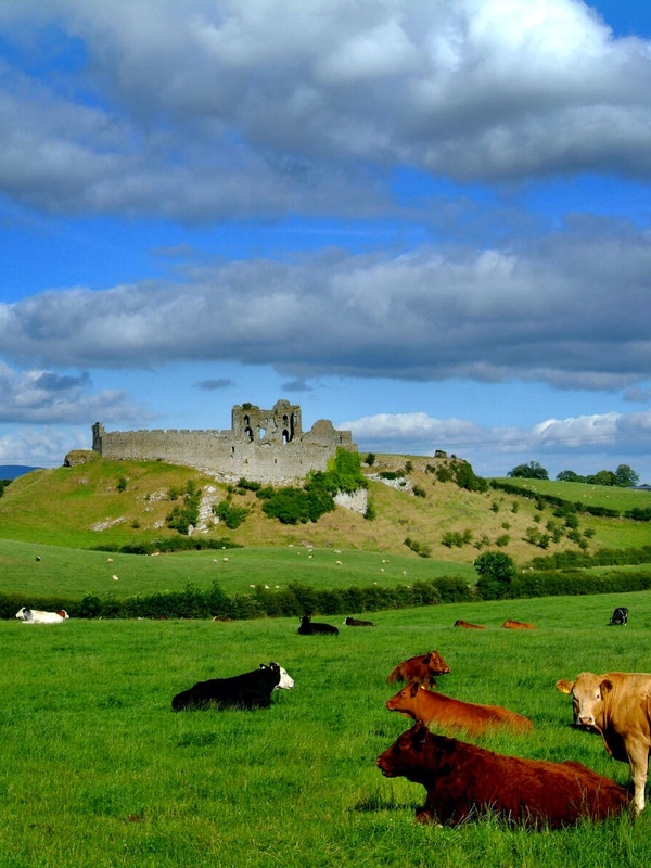 Roche Castle - Header