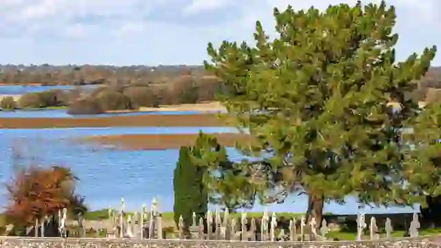Clonmacnoise graveyard overlooking the River Shannon and surrounding wetlands in County Offaly, Ireland.