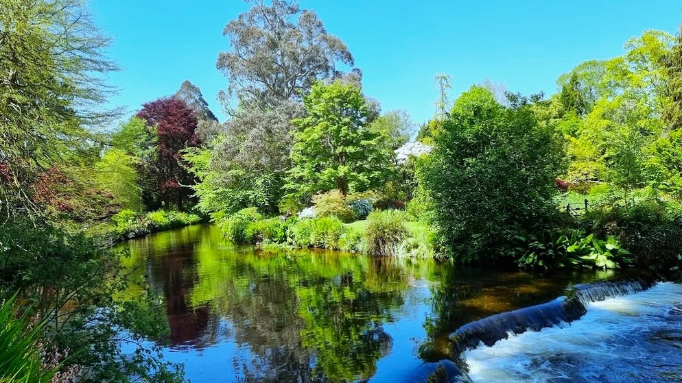 River and small waterfall reflecting colourful trees and blue sky in Mount Usher Gardens, County Wicklow.