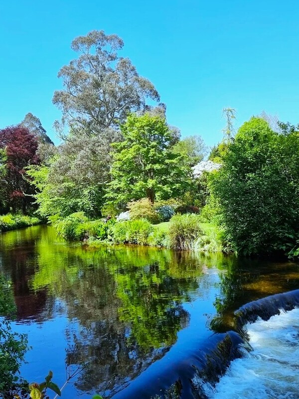 River and small waterfall reflecting colourful trees and blue sky in Mount Usher Gardens, County Wicklow.