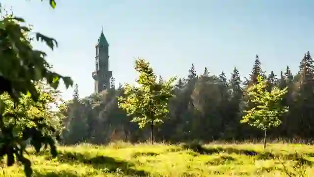 phoenix-park-inset-one