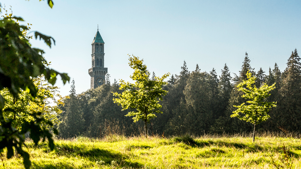 phoenix-park-inset-one