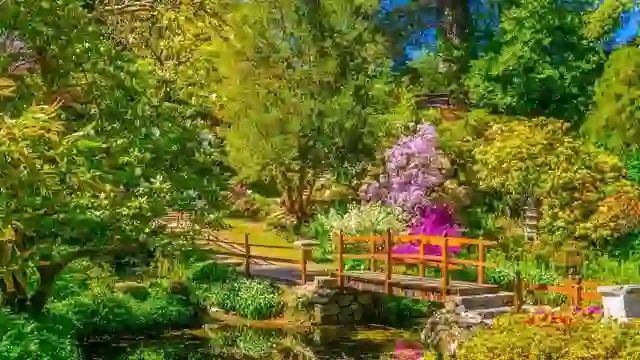 Japanese Gardens at Powerscourt Estate with red bridge over pond and spring blooms in County Wicklow.