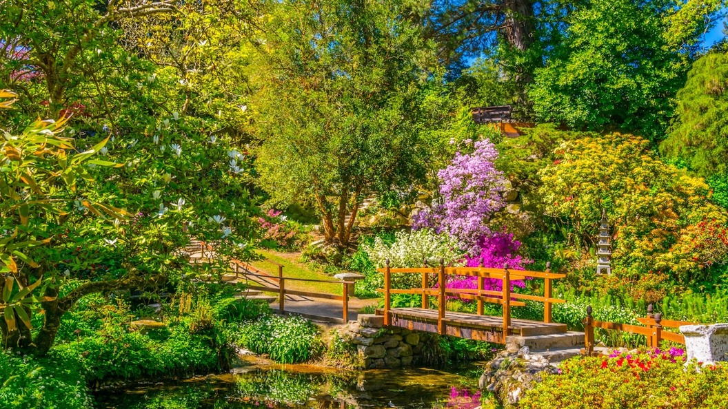 Japanese Gardens at Powerscourt Estate with red bridge over pond and spring blooms in County Wicklow.