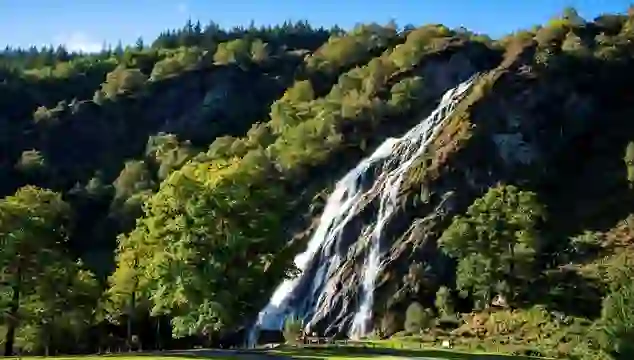 Powerscourt Waterfall cascading down a rocky, forested hillside, surrounded by lush green trees beneath a clear blue sky.