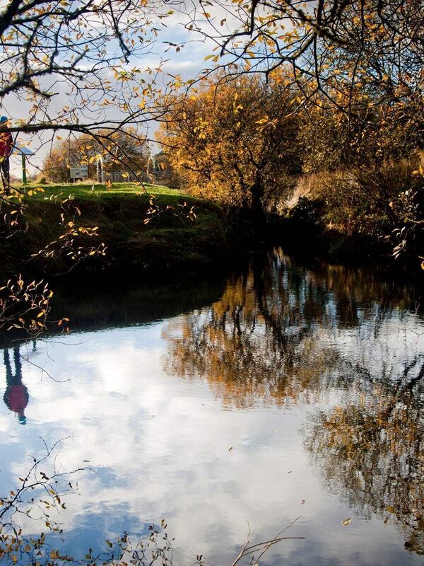 Shannon Pot - Header