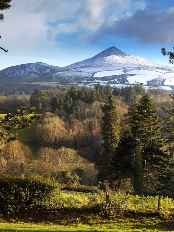 Sugarloaf Mountain, Wicklow Mountains National Park, County Wicklow. Snow-dusted peak above autumn woodland.