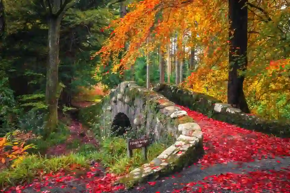 Autumn colours on Foley's Bridge in Tollymore Forest Park, County Down, Northern Ireland.