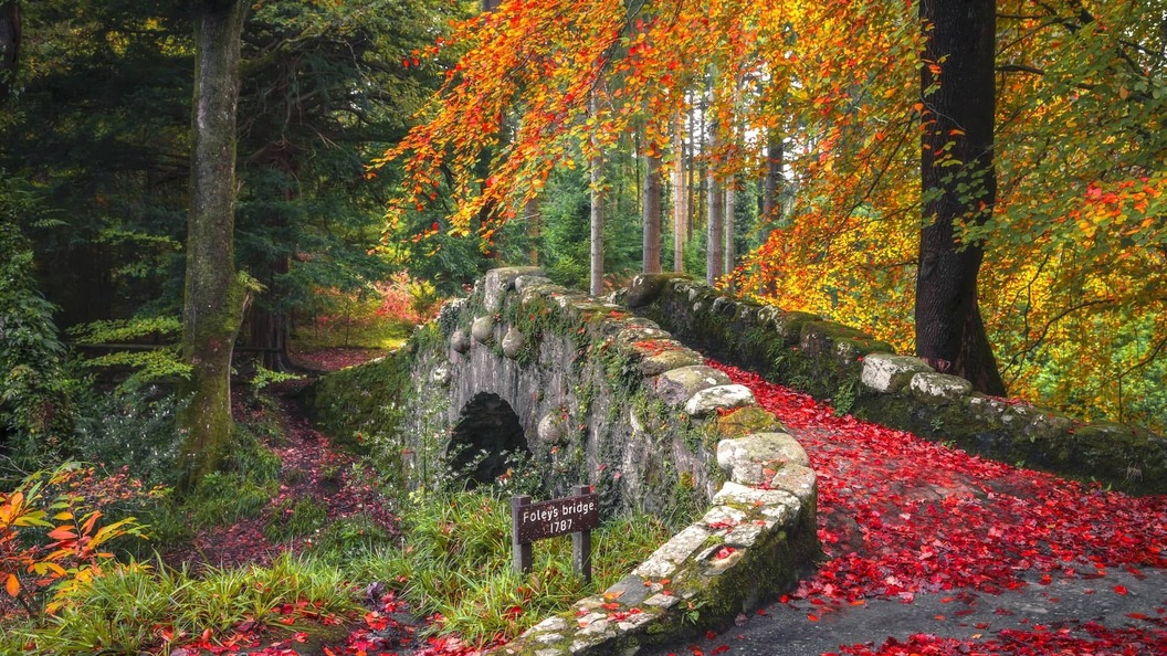 Autumn colours on Foley's Bridge in Tollymore Forest Park, County Down, Northern Ireland.