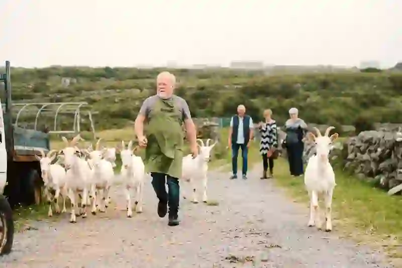 Un granjero camina con un rebaño de cabras blancas por un sendero rural en las islas Aran mientras los visitantes lo observan.