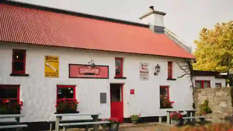 Larkins traditional pub in Garrykennedy, County Tipperary, with whitewashed walls, red roof and vintage signs.