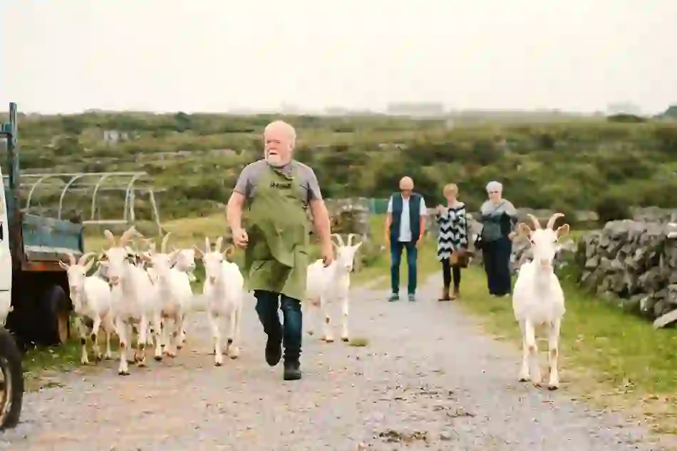 Farmer leading a herd of goats along a country lane on the Aran Islands, County Galway.