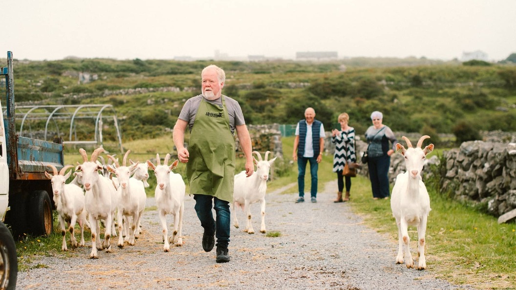 Farmer leading a herd of goats along a country lane on the Aran Islands, County Galway.