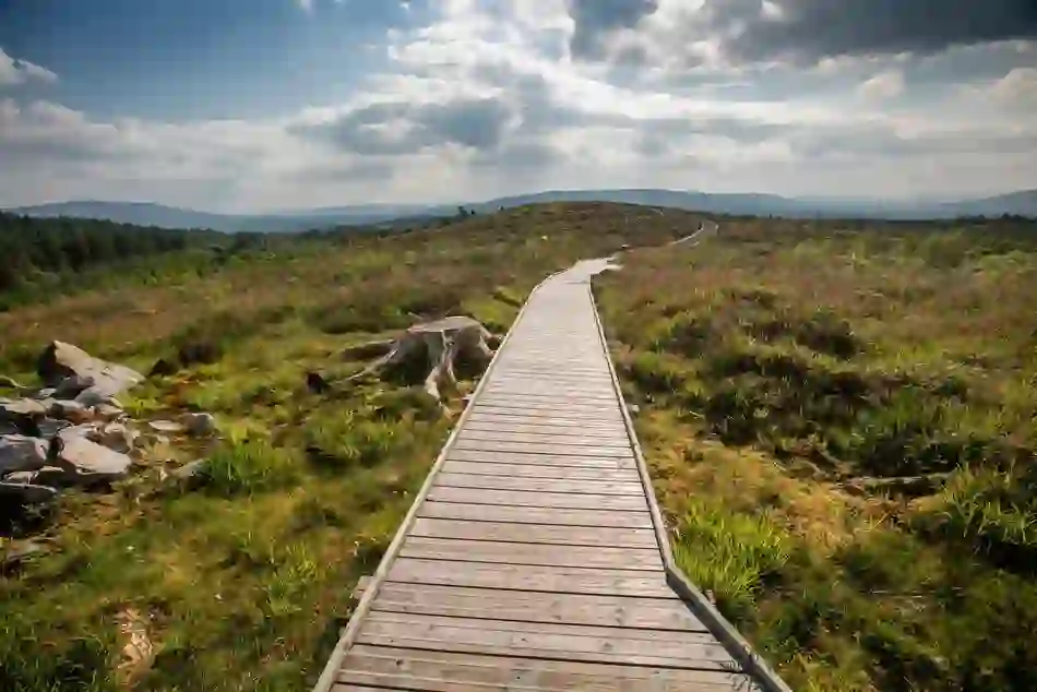 walking-pathway-trio-three-new