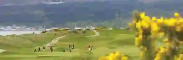 rory-mcilroy-update-strip-royal-county-down