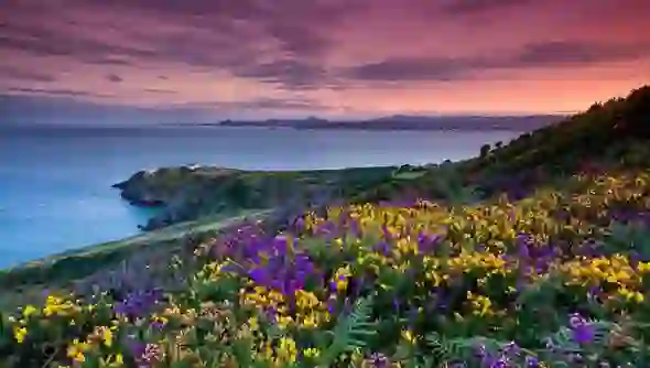 summer-images-howth