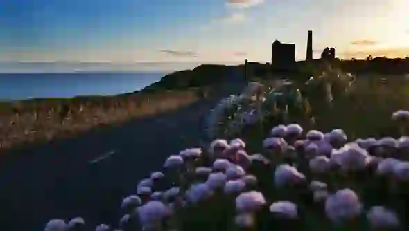 spring-images-ireland-copper-coast