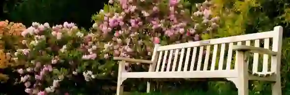 irelands-gardens-rowallane-strip