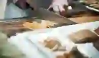 fish-werec