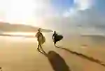 surfing-bg-teaser