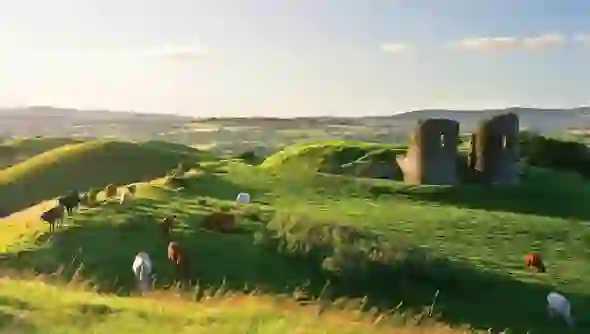 summer-images-tyrone