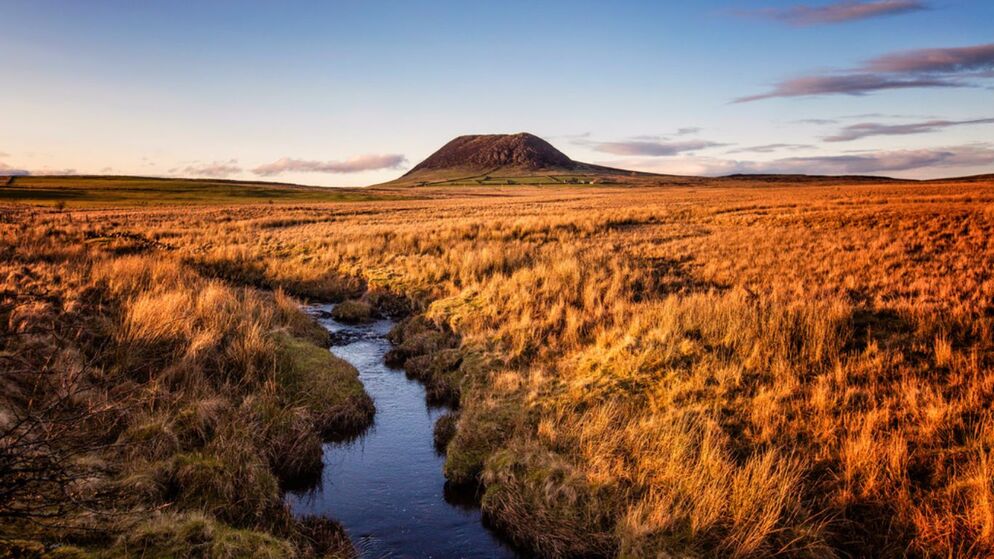 Der Slemish-Berg erhebt sich über goldenes Moorland mit einem sich schlängelnden Bach unter einem klaren blauen Himmel in Nordirland.
