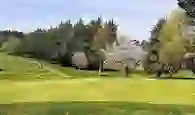 greystones-golf
