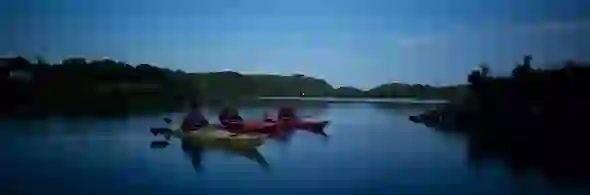proposal-spots-lough-hyne-strip