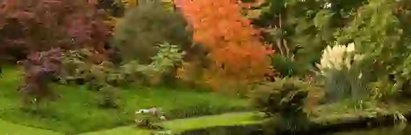 irelands-gardens-mount-usher-strip