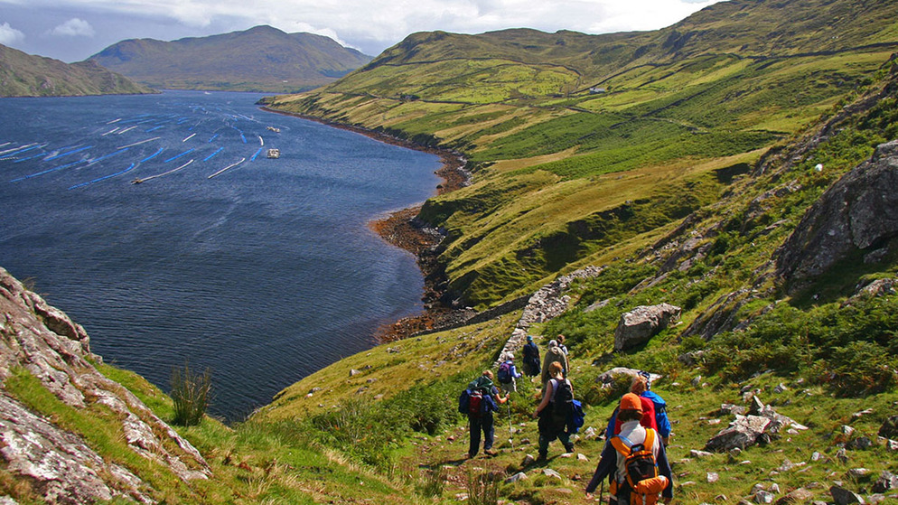 Vier wandelaars met rugzakken die een begroeid heuvellandschap in Ierland oversteken, met in de verte blauwe bergen onder een heldere lucht.
