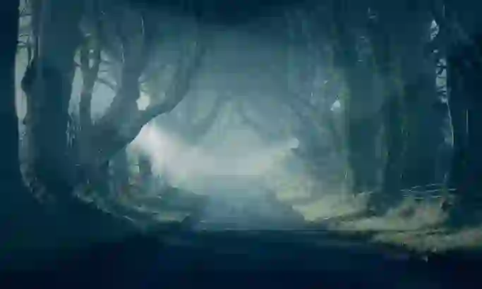 got-doors-background