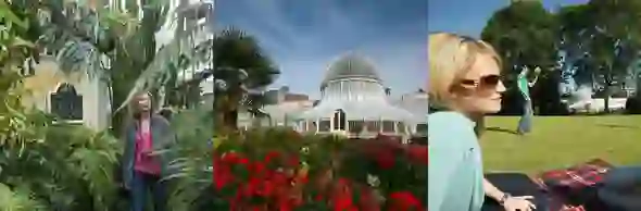 belfast-nature-strip-botanic