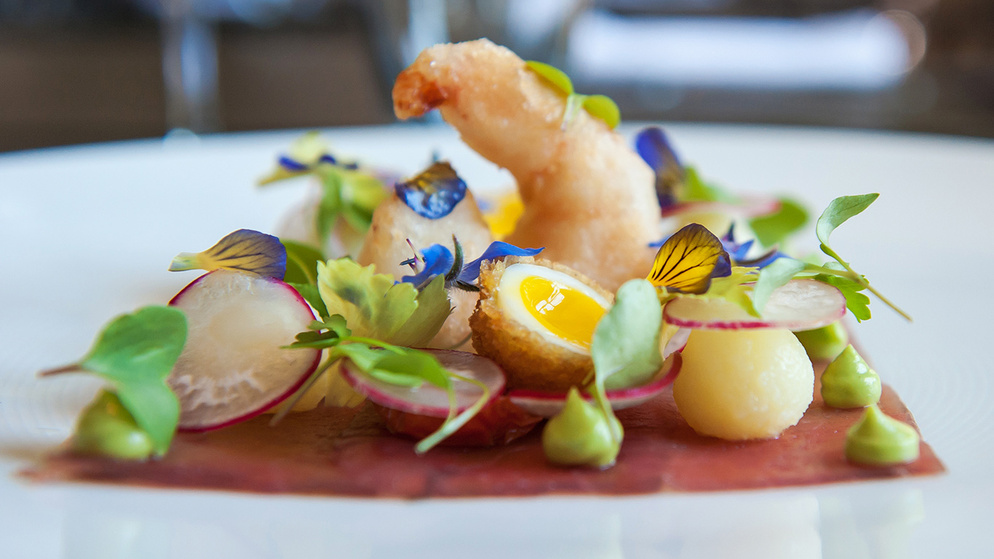 ni-food-scene-background